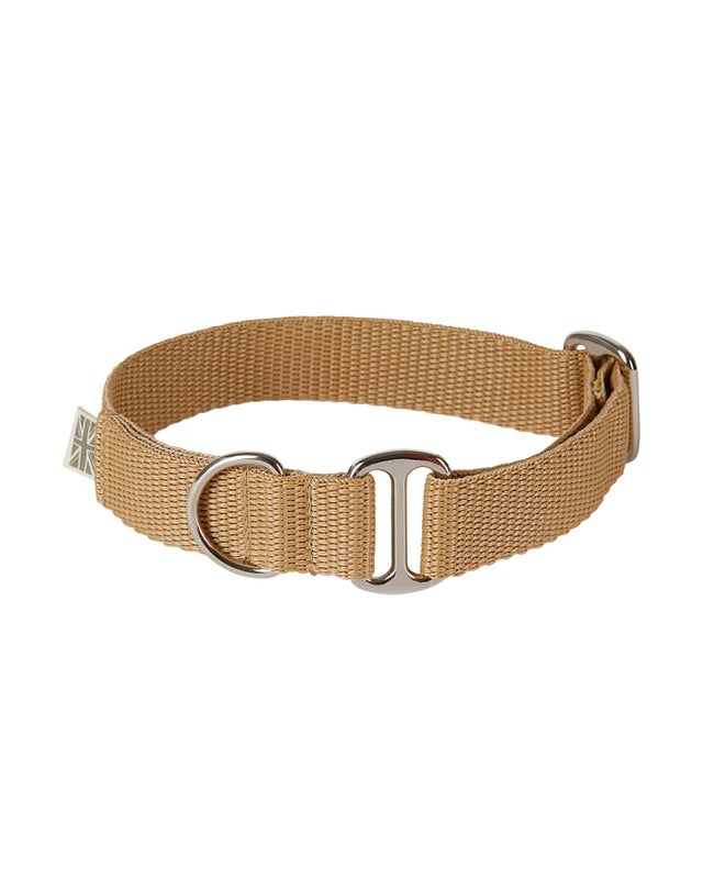 Stone dog collars cheap